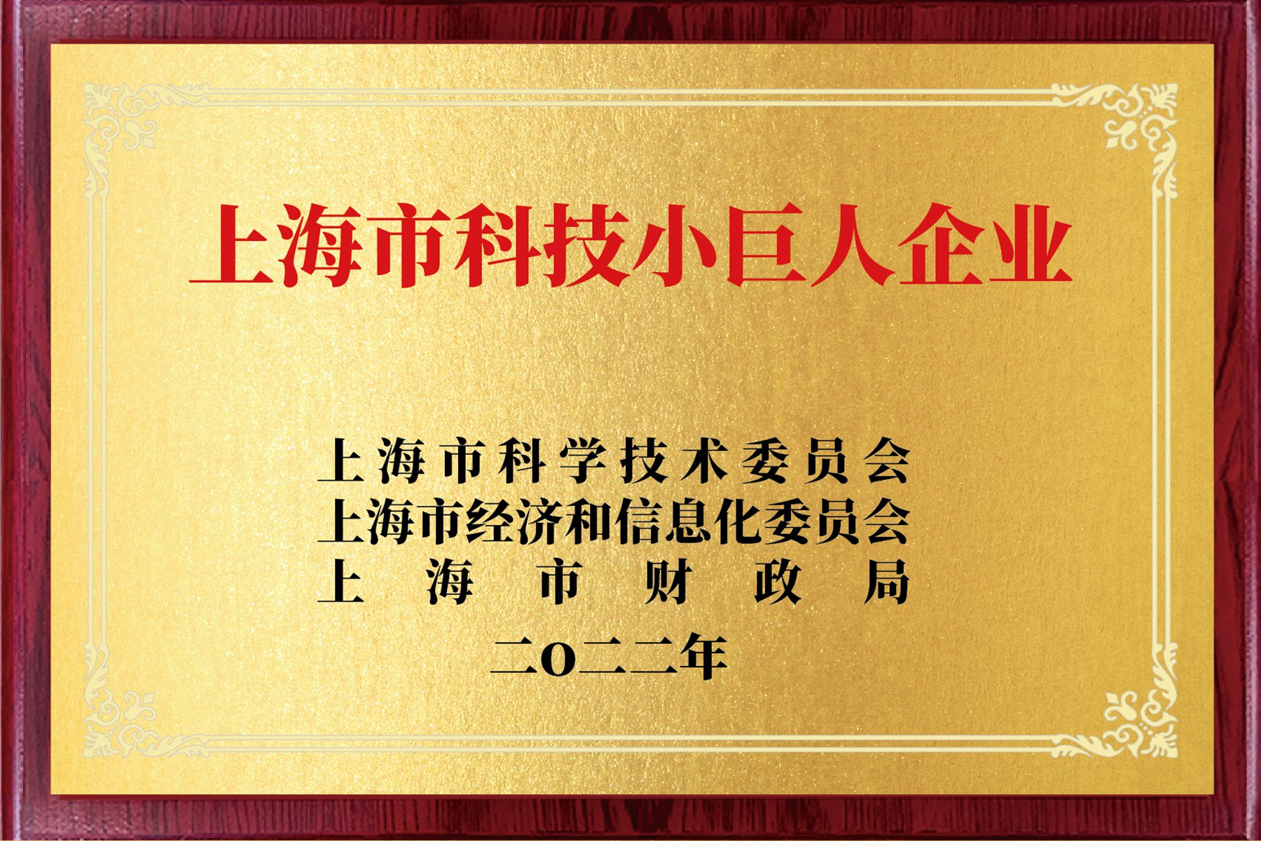 上海市科技小巨人企业
