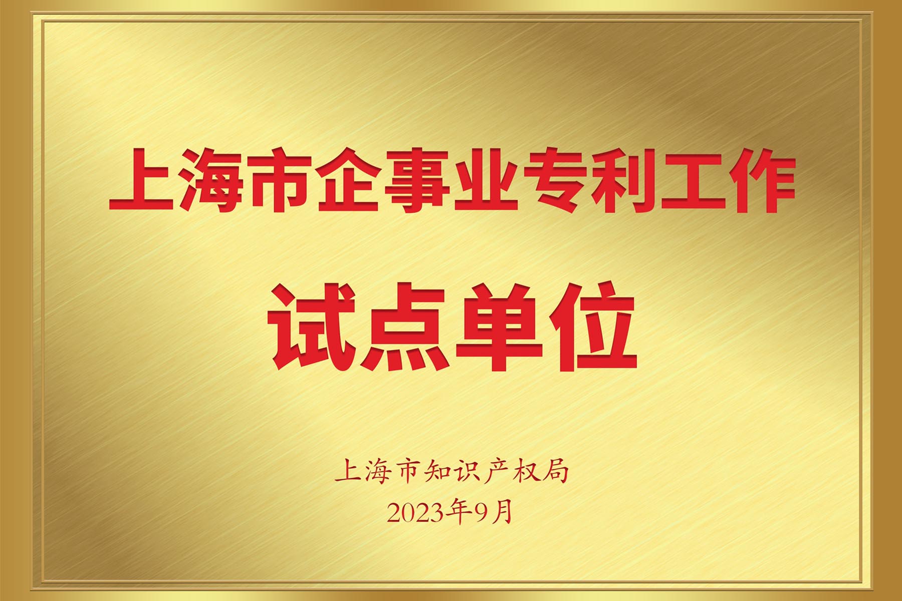 上海市企事业专利工作试点单位